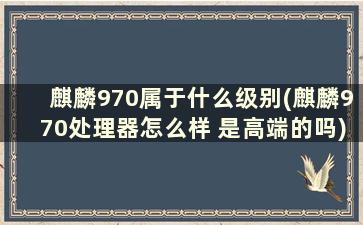 麒麟970属于什么级别(麒麟970处理器怎么样 是高端的吗)